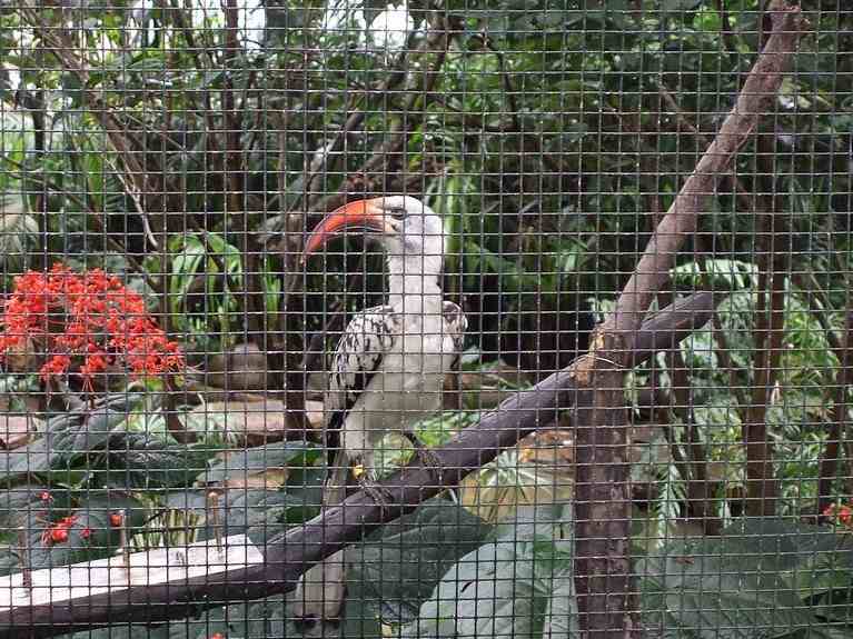 n_HongKong mei 2008 019.jpg